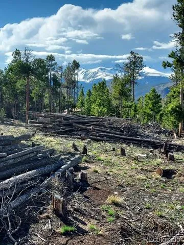 000 Frank C Idaho Springs, CO 80452