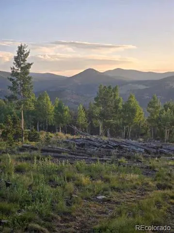 000 Frank C Idaho Springs, CO 80452