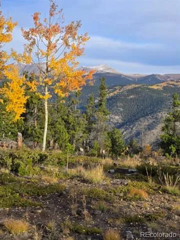 000 Frank C Idaho Springs, CO 80452