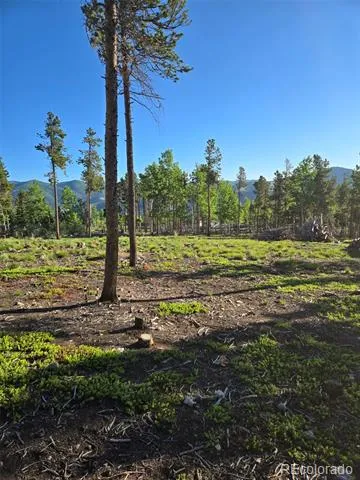 000 Frank C Idaho Springs, CO 80452