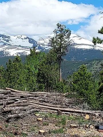 000 Frank C Idaho Springs, CO 80452