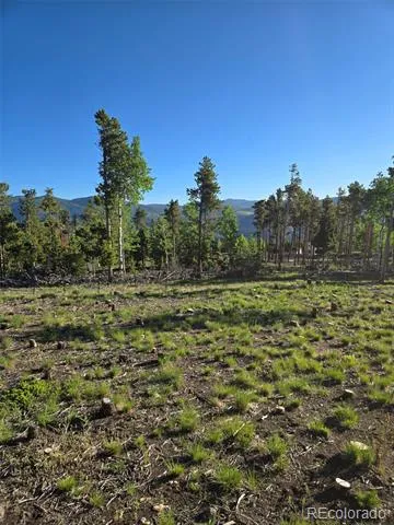000 Frank C Idaho Springs, CO 80452
