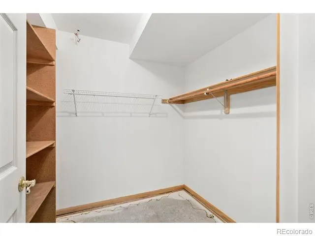 532 Trailwood Circle Windsor, CO 80550
