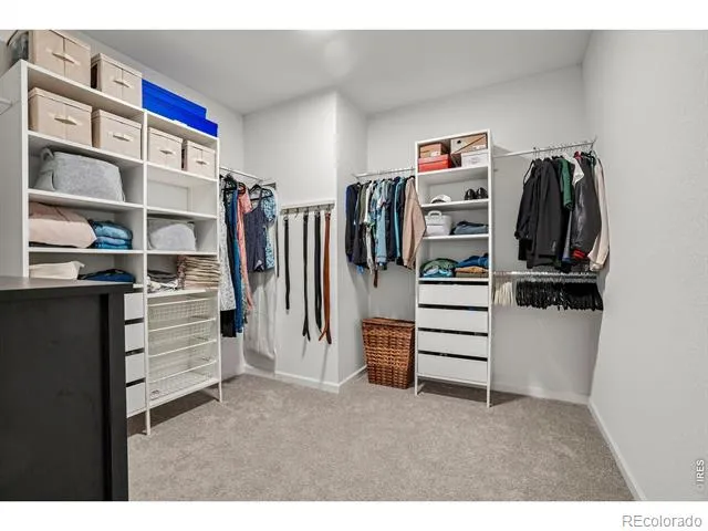 1815 Dancing Cattail Drive Fort Collins, CO 80528