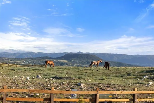 144 Stone Pointe Trail Castle Rock, CO 80109