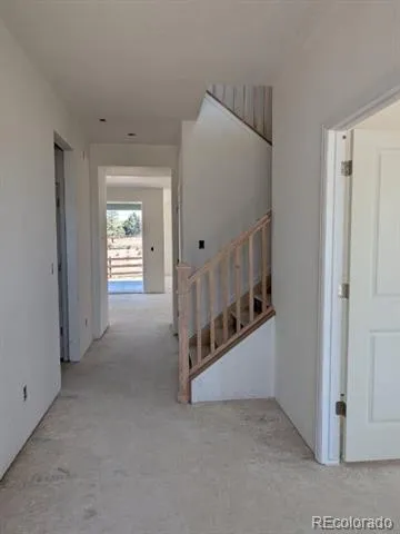 3455 Ballinger Circle Mead, CO 80542