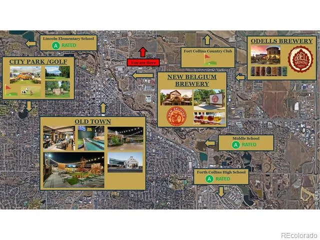 943 Schlagel Street Fort Collins, CO 80524