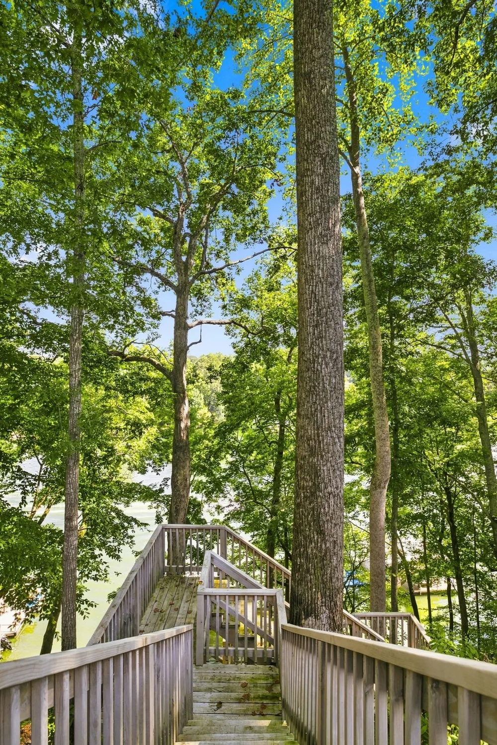 320 Bjs Lndg Estill Springs, TN 37330
