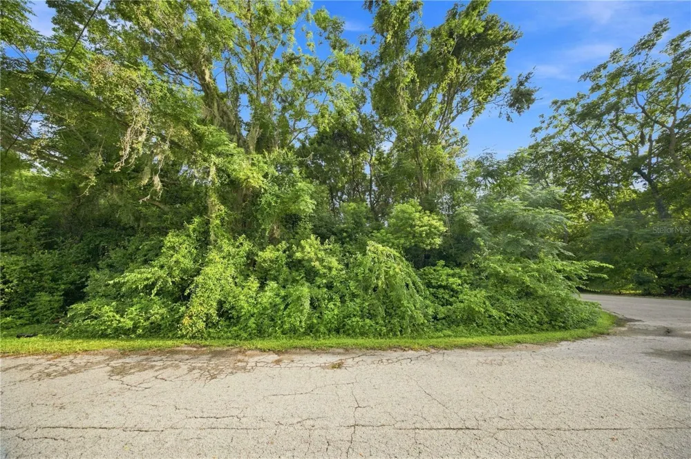 5850 SE 144TH PLACE Summerfield, FL 34491