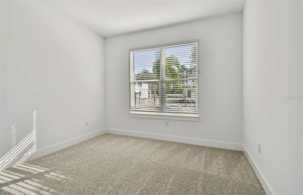 37343 CLINCH CIRCLE Zephyrhills, FL 33540
