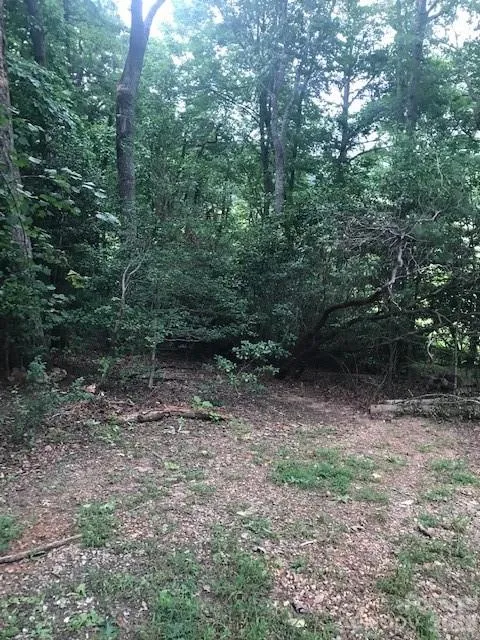 57 Sleepy Gap Road Arden, NC 28704