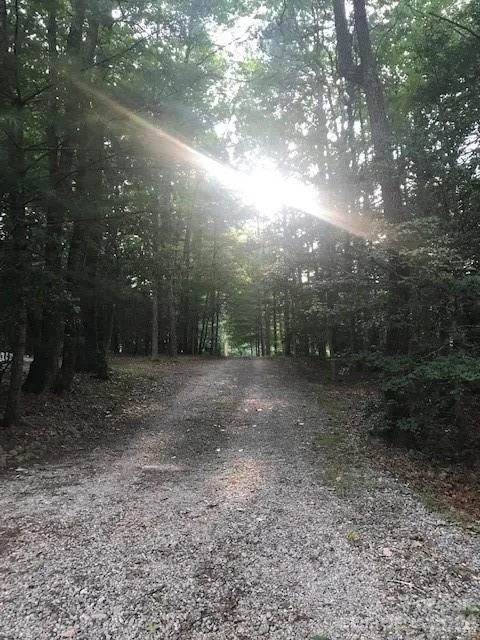57 Sleepy Gap Road Arden, NC 28704