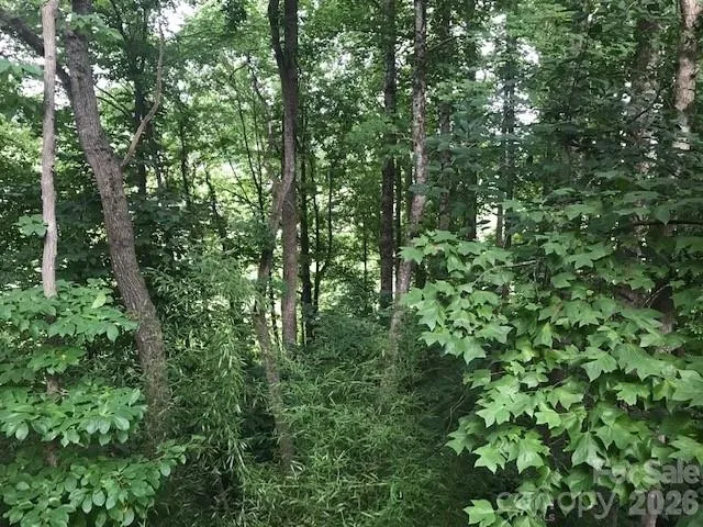 57 Sleepy Gap Road Arden, NC 28704