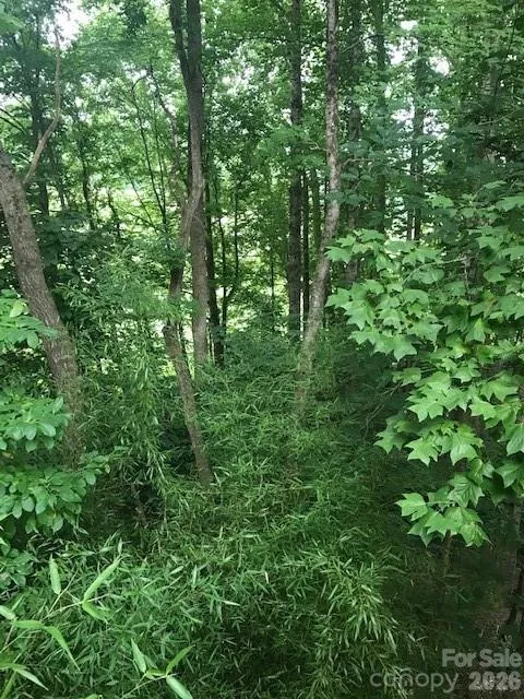 57 Sleepy Gap Road Arden, NC 28704