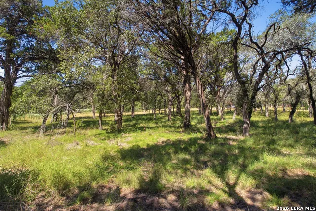 5943 Wharton's Dock Rd Bandera, TX 78003