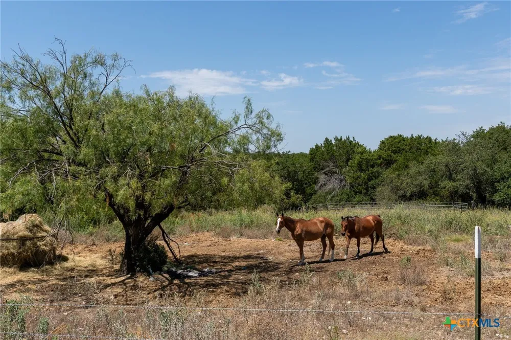 3322 County Road 1020 Lampasas, TX 76550