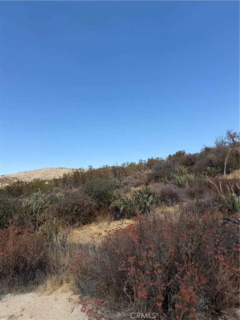 3 Indian Trails Rd Aguanga, CA 92536