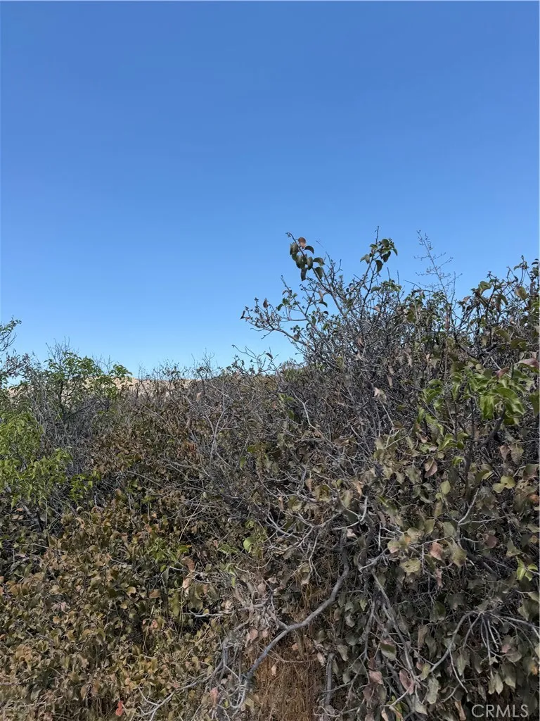 3 Indian Trails Rd Aguanga, CA 92536