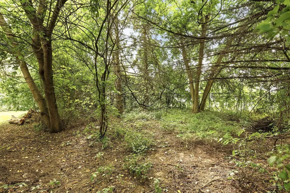 3734 Sheridan Road Spaulding Township, MI 48601