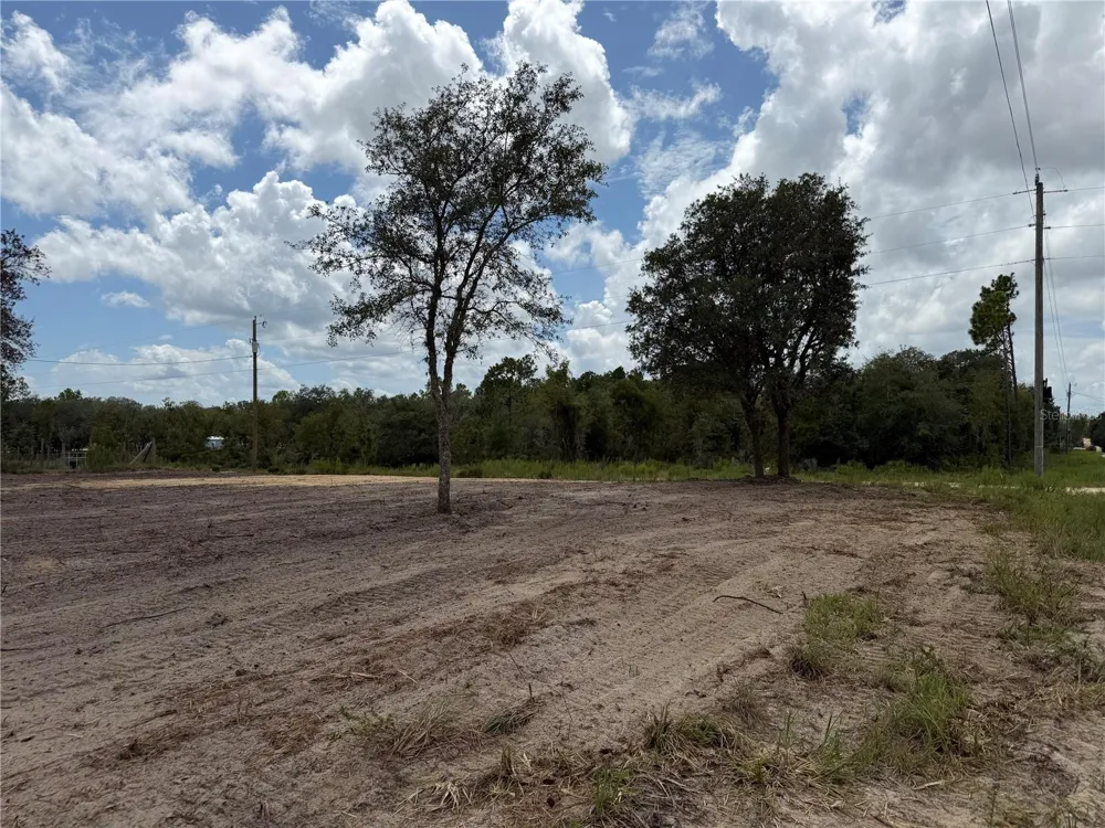 TBD NE 88TH LANE Bronson, FL 32621