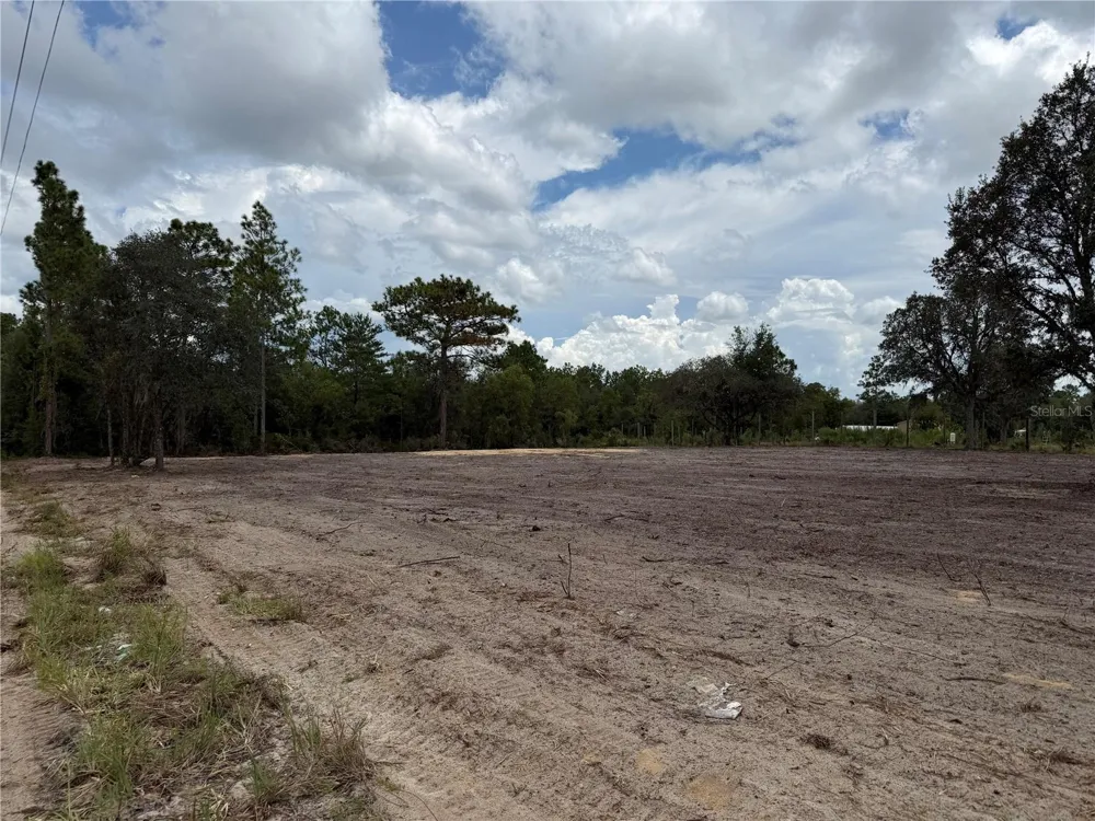 TBD NE 88TH LANE Bronson, FL 32621