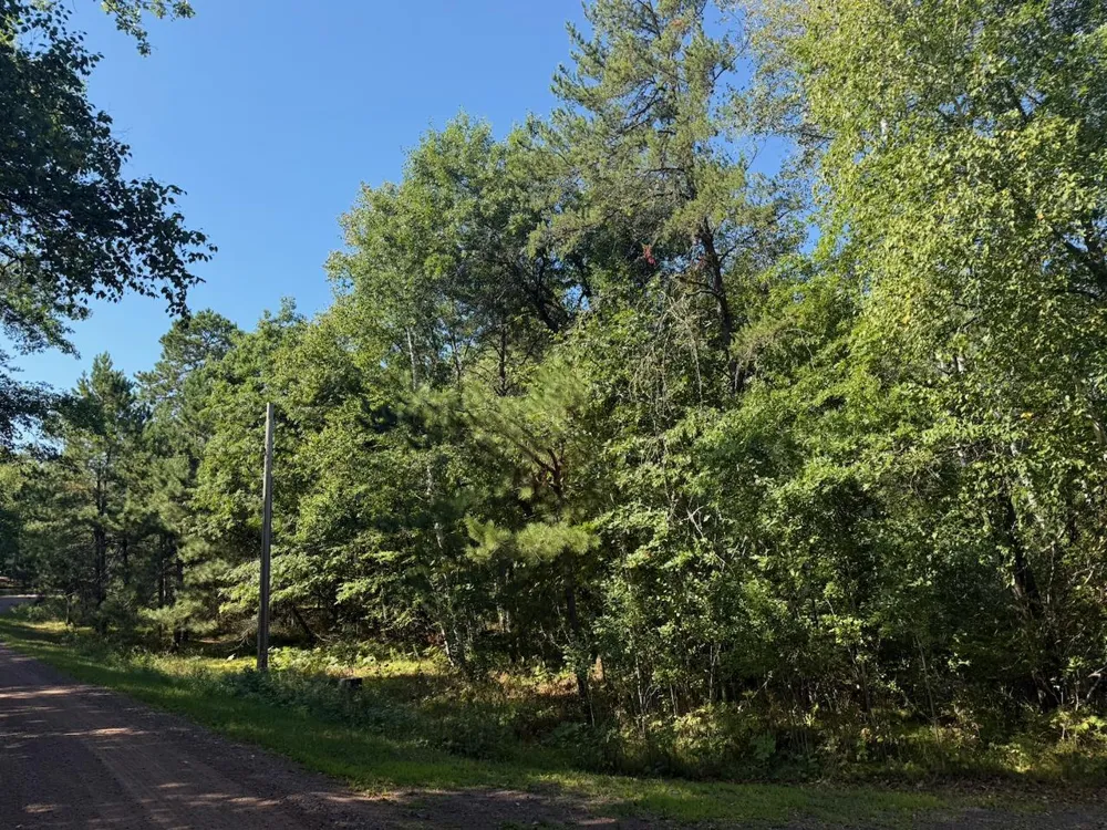 76617 Debbie Ridge Road Willow River, MN 55795