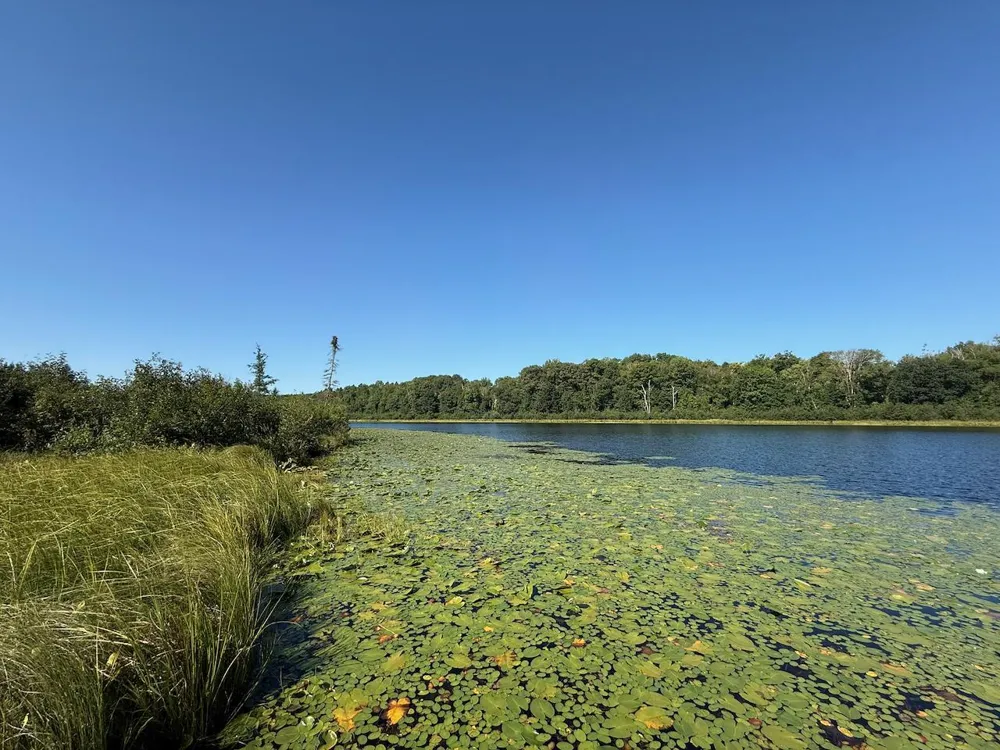 76617 Debbie Ridge Road Willow River, MN 55795