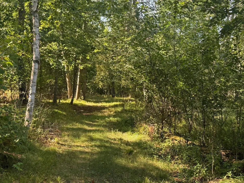 76617 Debbie Ridge Road Willow River, MN 55795