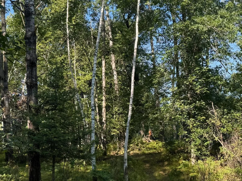 76617 Debbie Ridge Road Willow River, MN 55795