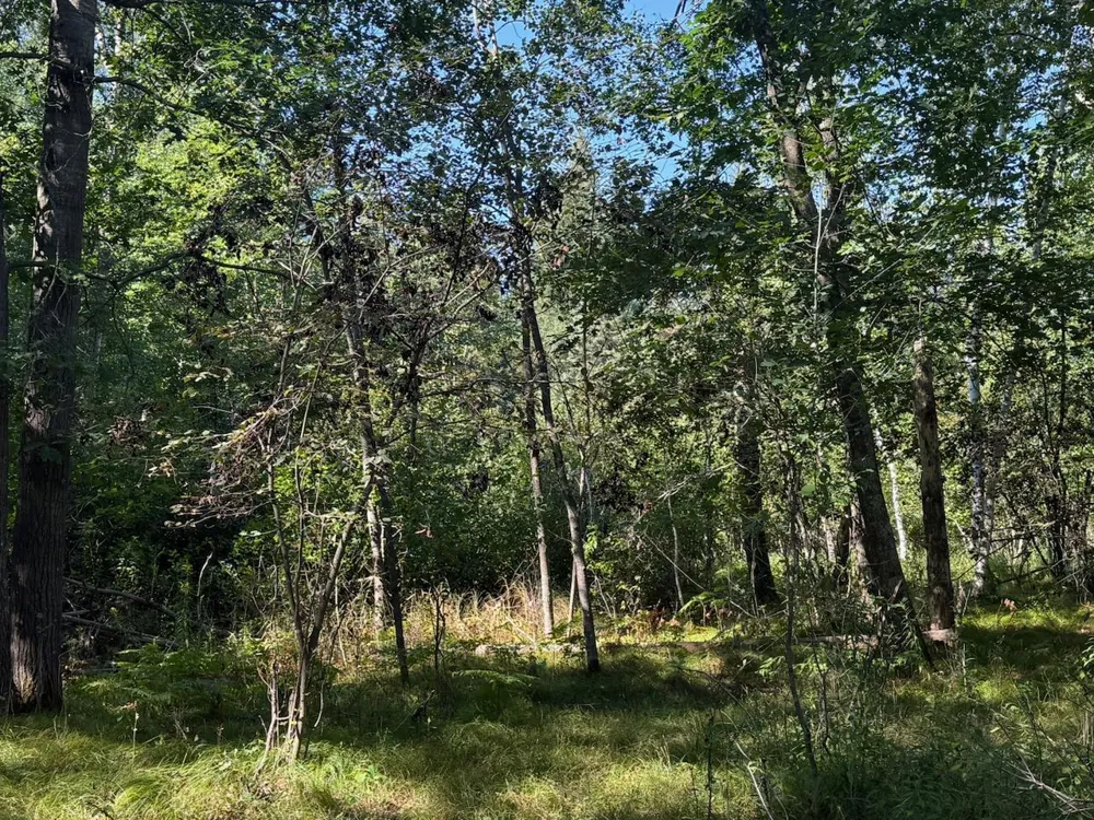76617 Debbie Ridge Road Willow River, MN 55795