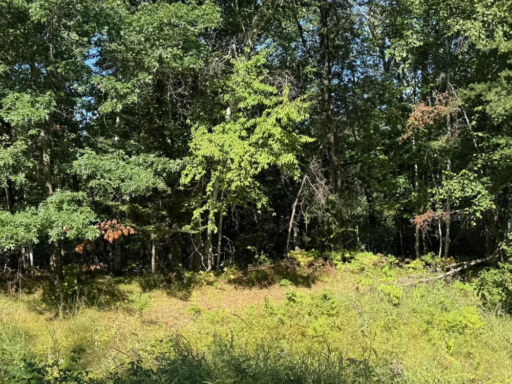 76617 Debbie Ridge Road Willow River, MN 55795