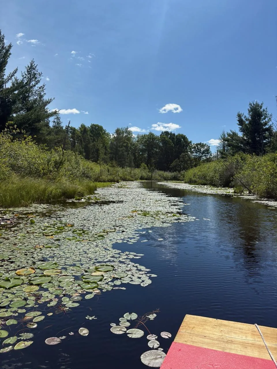 76617 Debbie Ridge Road Willow River, MN 55795