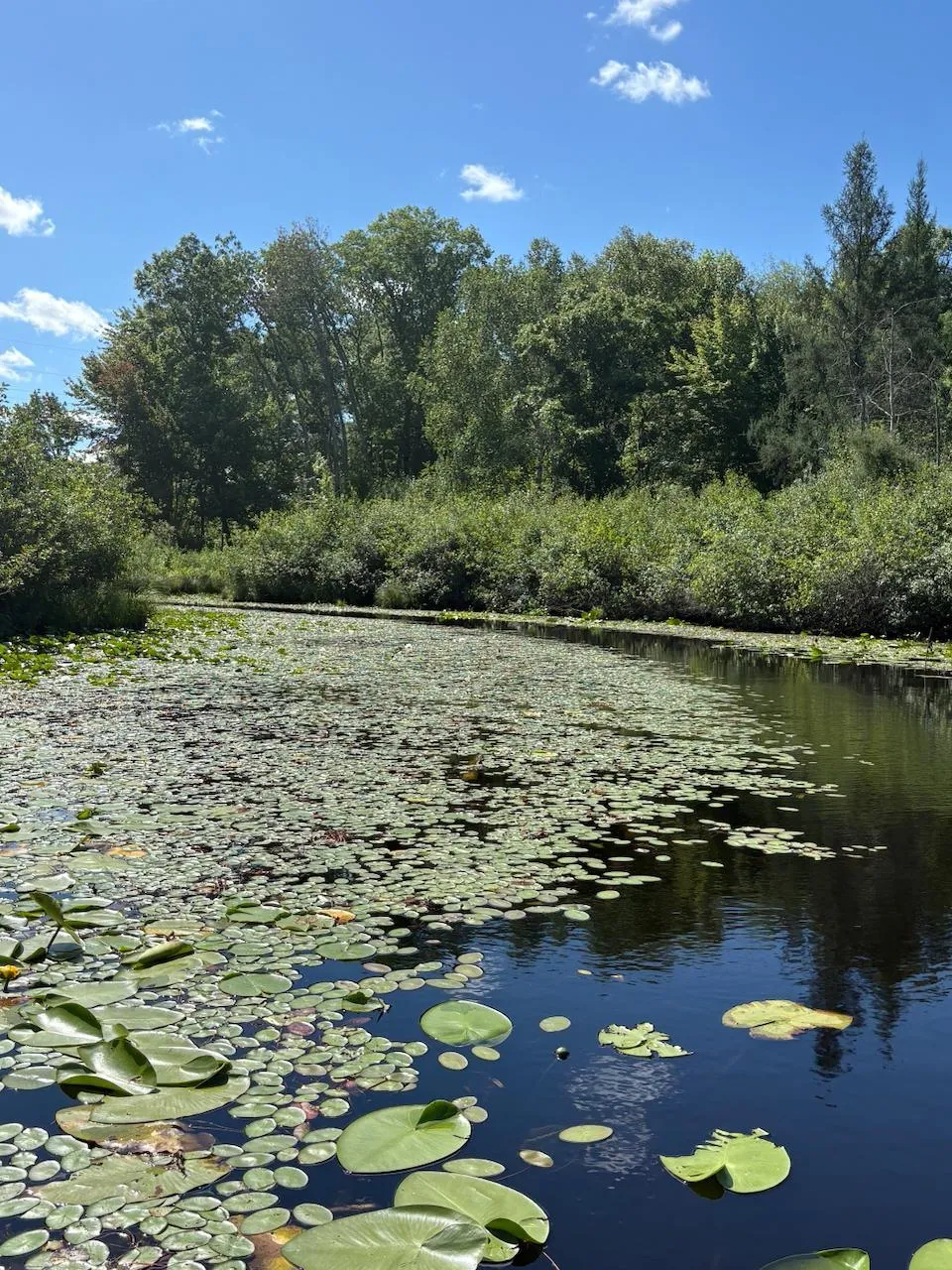 76617 Debbie Ridge Road Willow River, MN 55795