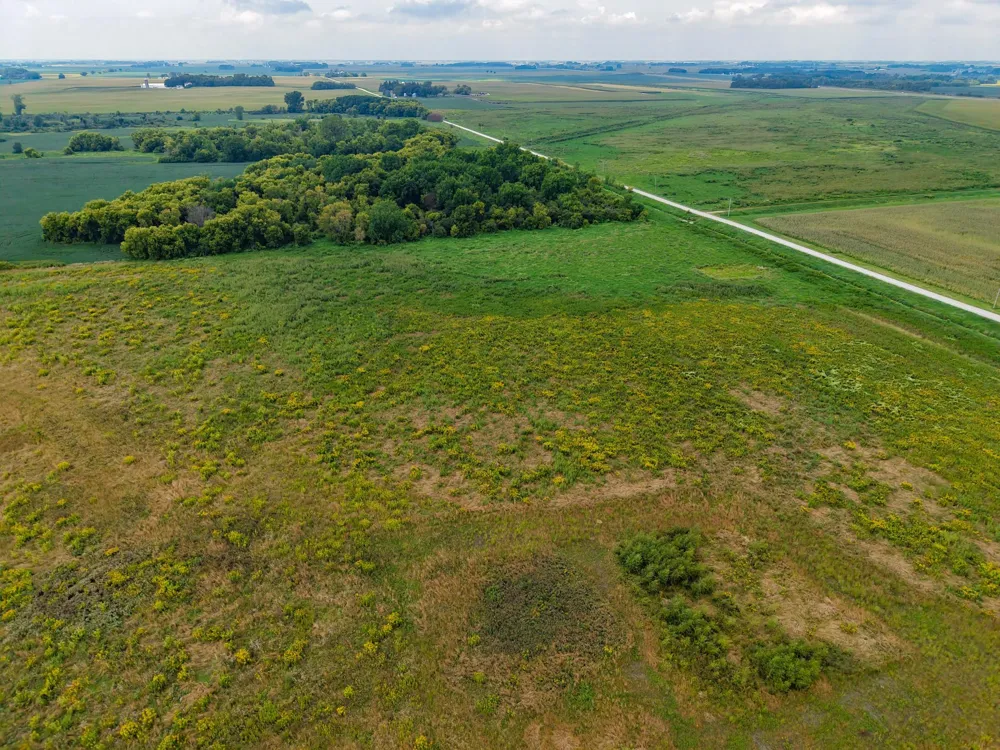 62671 110th Avenue Claremont, MN 55924