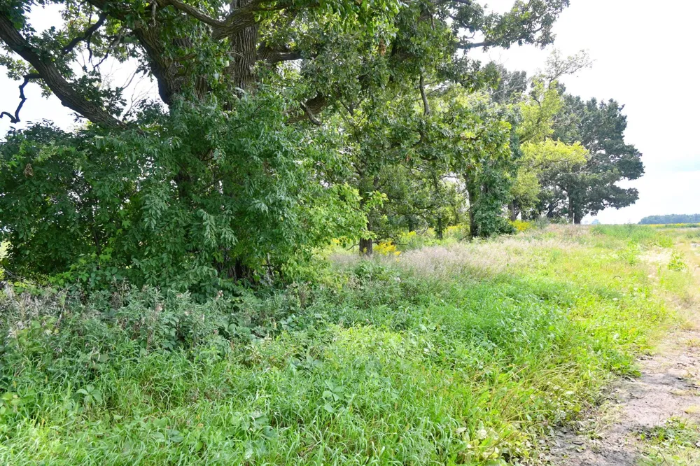62671 110th Avenue Claremont, MN 55924