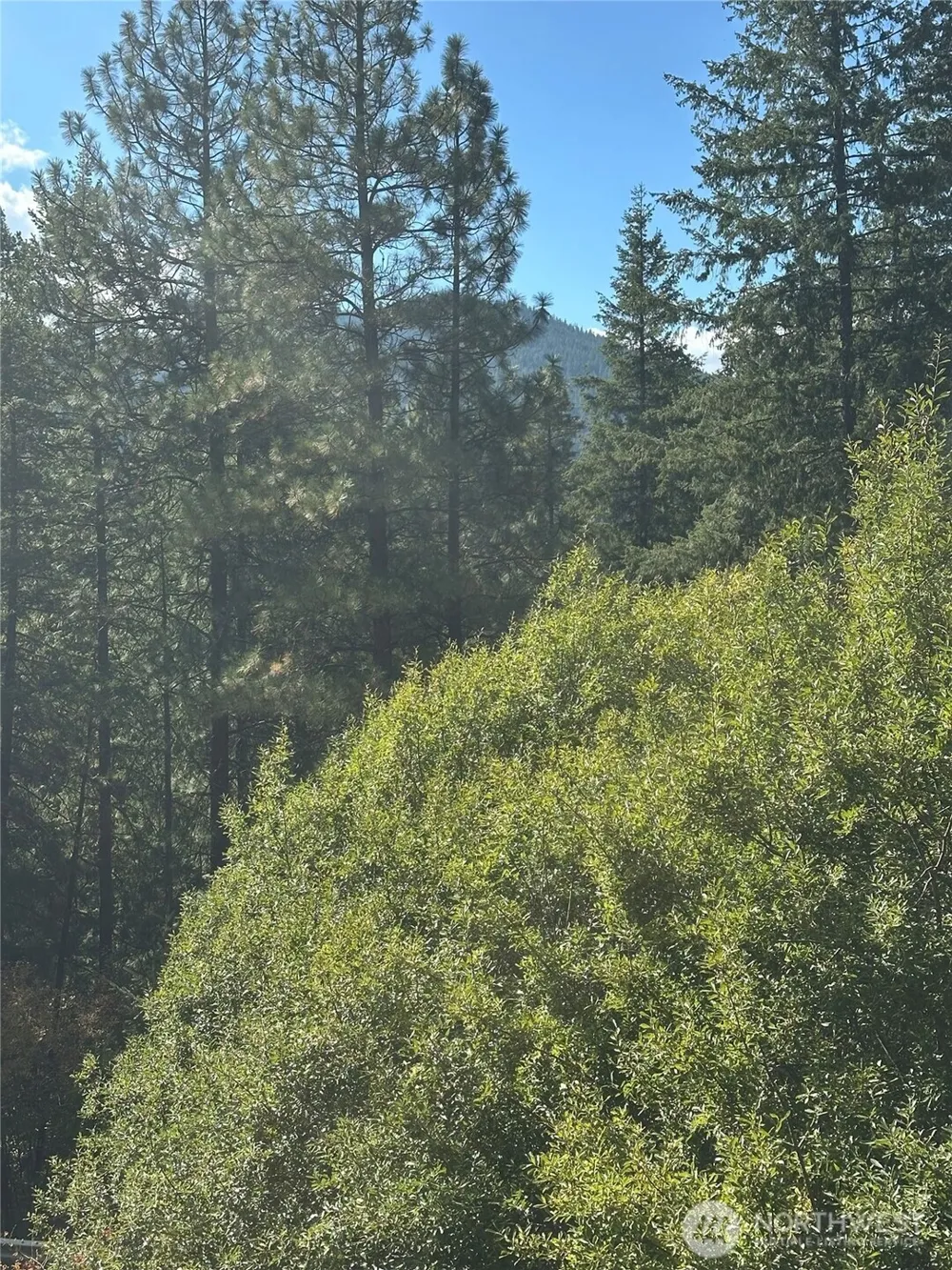 25819 Camp 12 Road Leavenworth, WA 98826
