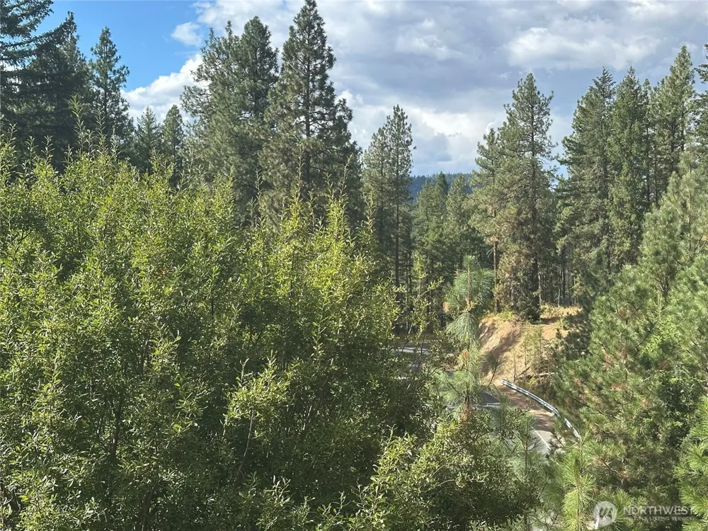 25819 Camp 12 Road Leavenworth, WA 98826