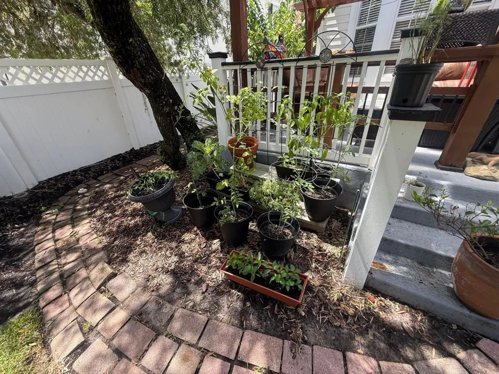 Address Not Shown Celebration, FL 34747