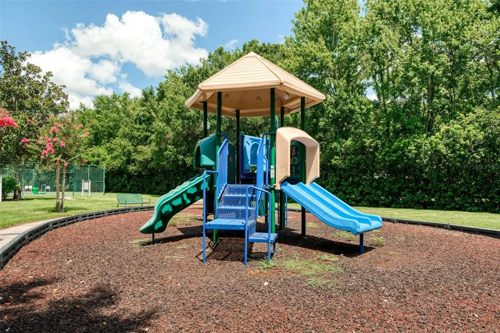 1356 CAP ROCK DRIVE Celebration, FL 34747