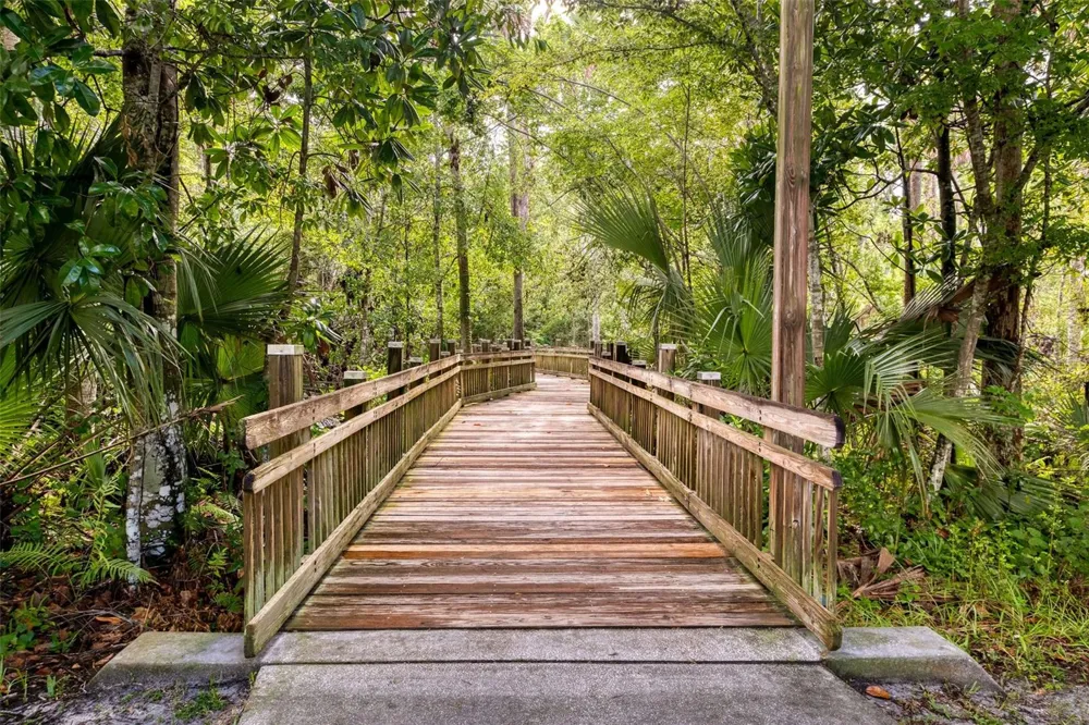 1356 CAP ROCK DRIVE Celebration, FL 34747