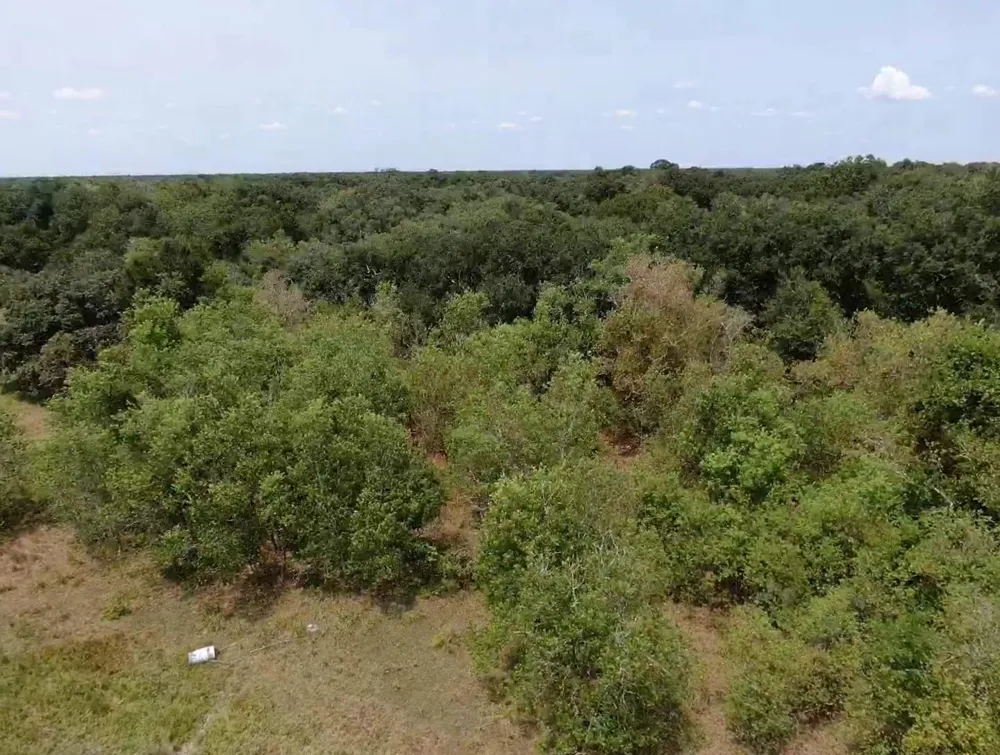 7800 Brazos River Road Damon, TX 77430