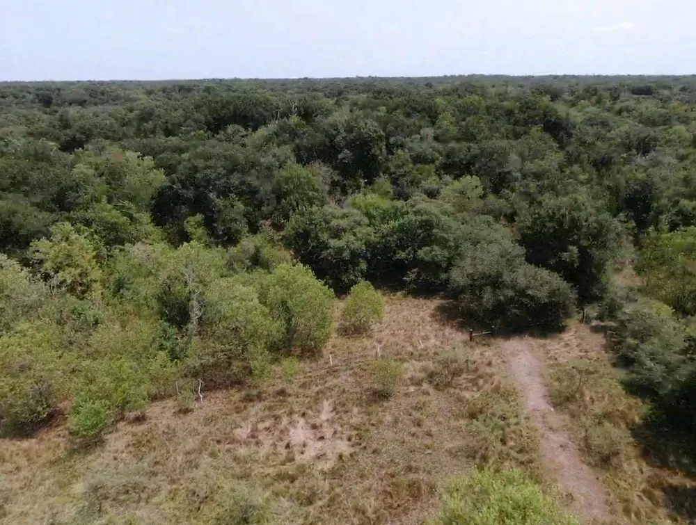 7800 Brazos River Road Damon, TX 77430