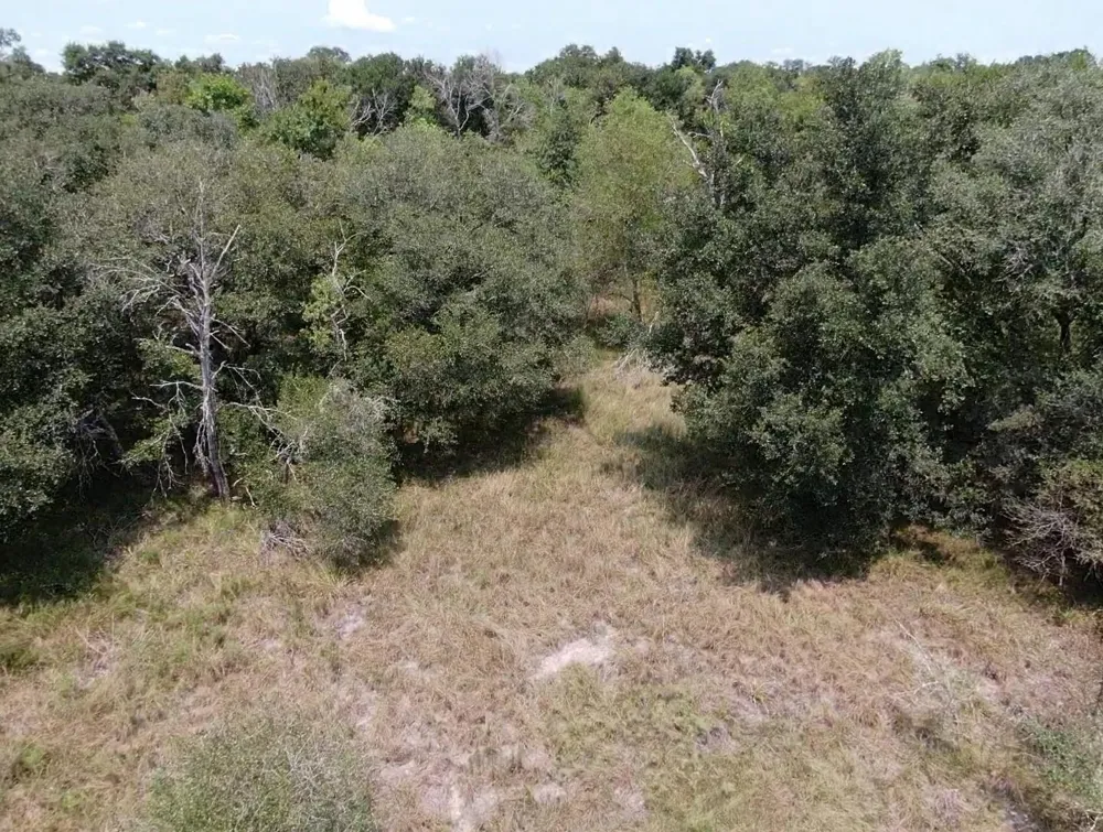 7800 Brazos River Road Damon, TX 77430