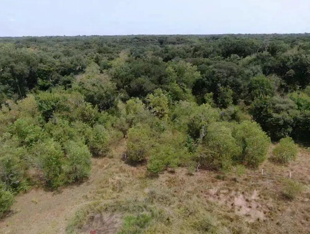 7800 Brazos River Road Damon, TX 77430