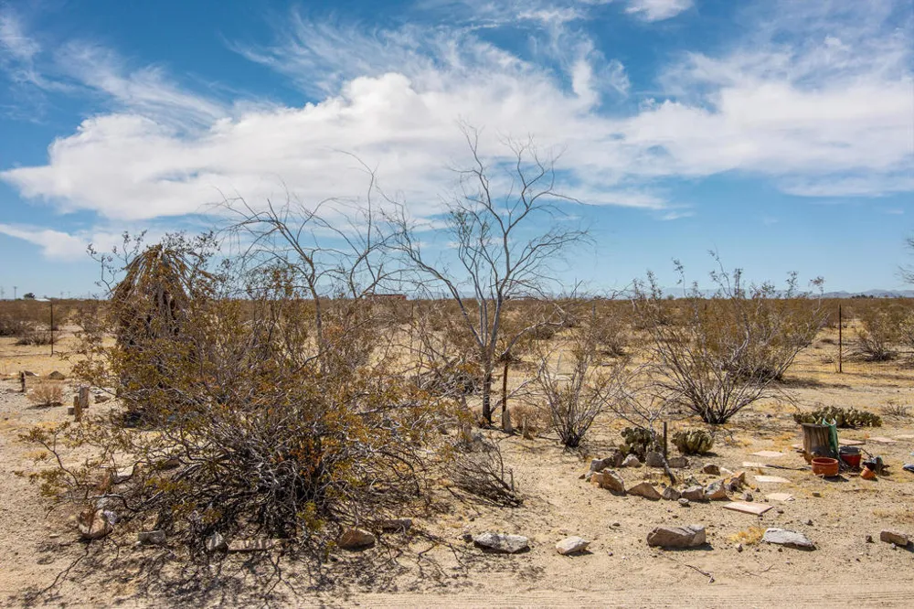 59962 Rocky Avenue Landers, CA 92285