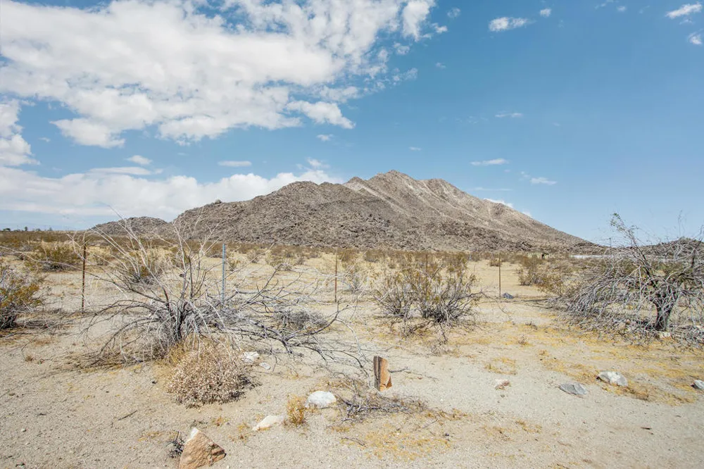 59962 Rocky Avenue Landers, CA 92285
