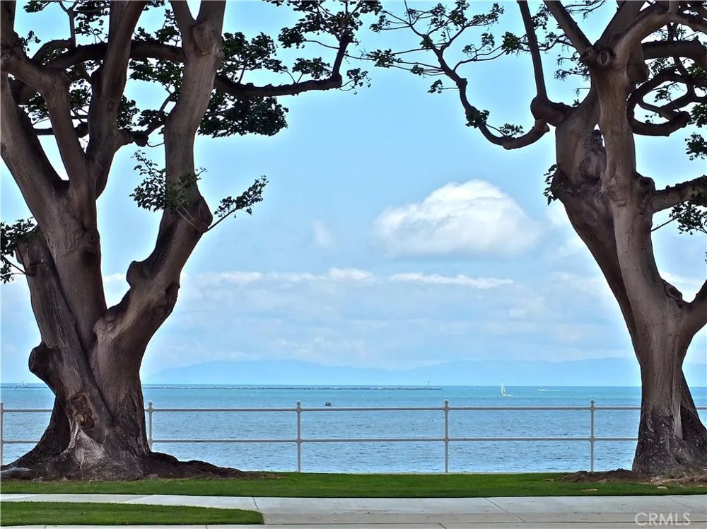1724 E 1st #3 Long Beach, CA 90802