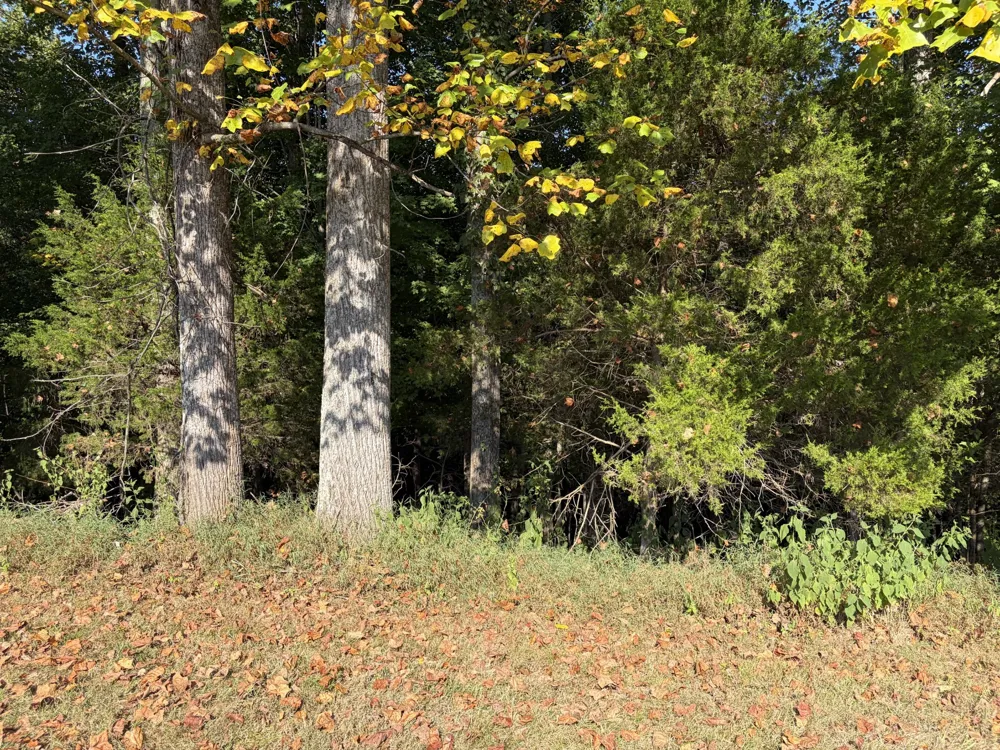 0 Countrywood Ln Gainesboro, TN 38562