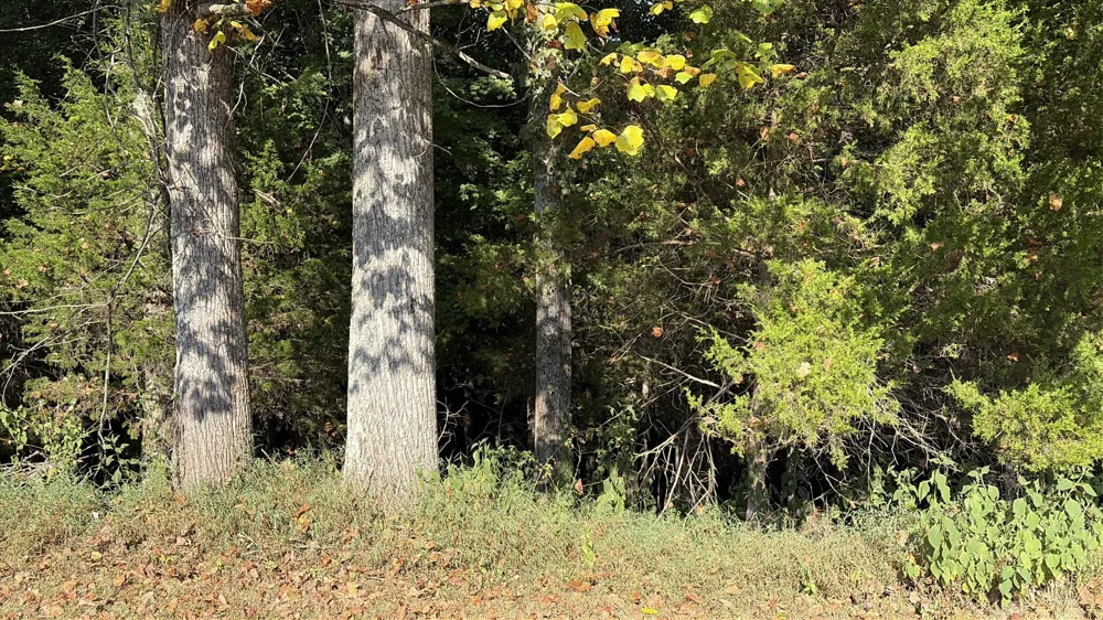 0 Countrywood Ln Gainesboro, TN 38562