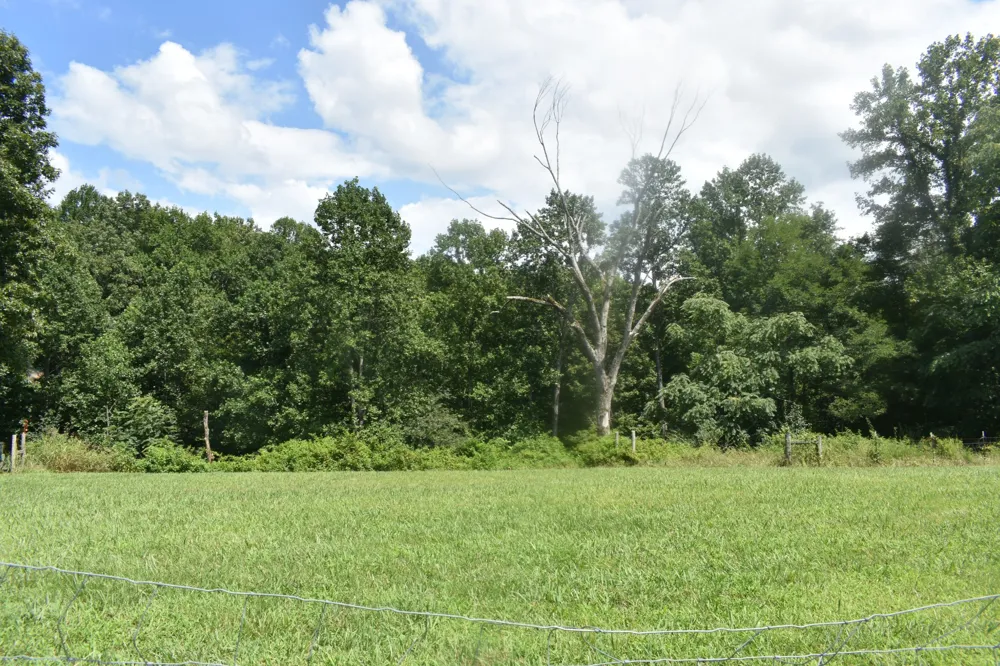 0 Countrywood Ln Gainesboro, TN 38562
